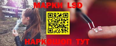 прущие грибы Моздок