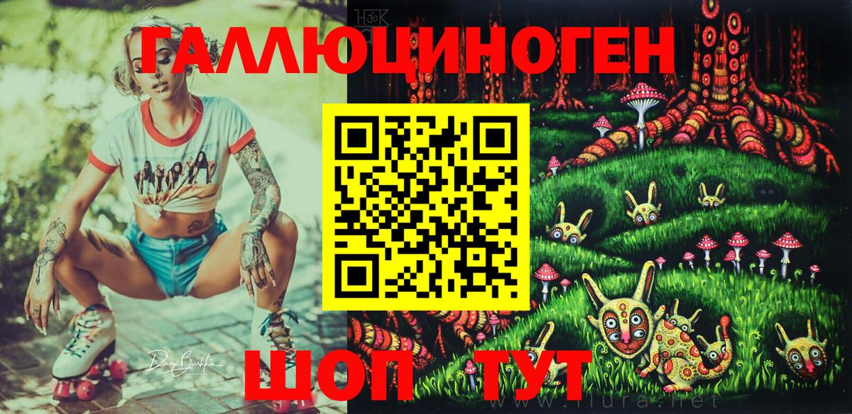 Выборг  Псилоцибиновые грибы ЛСД  Псилоцибиновые грибы мицелий  продажа наркотиков  Вход с VPN 