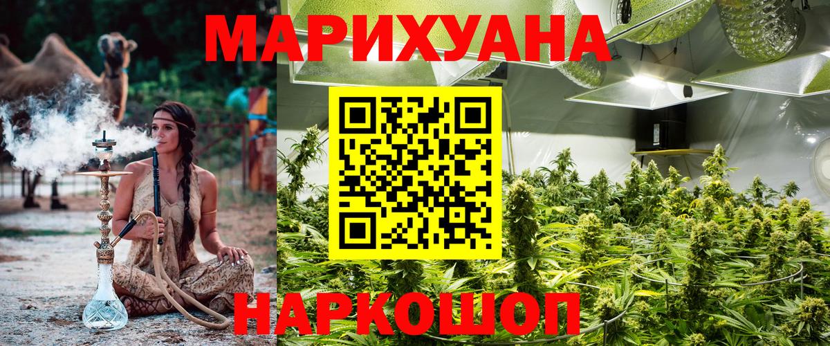Выборг  Бошки Шишки LSD WEED  Марихуана LSD WEED  Шишки марихуана план  Вход с VPN  Бошки Шишки ГИДРОПОН 