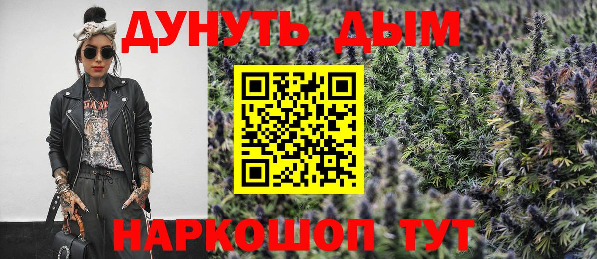 Канабис сатива Выборг